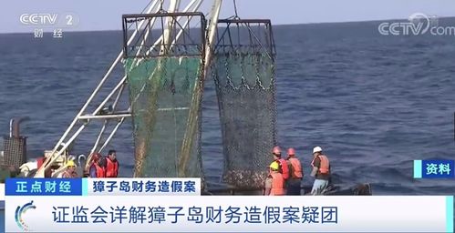 獐子島扇貝六年四逃之謎 北斗衛(wèi)星揭穿彌天大謊，畜牧漁業(yè)飼料警示錄