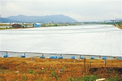 巧用糖水與“棉被” 專家與養殖戶聯手，科學應對寒潮守護畜禽菜籃